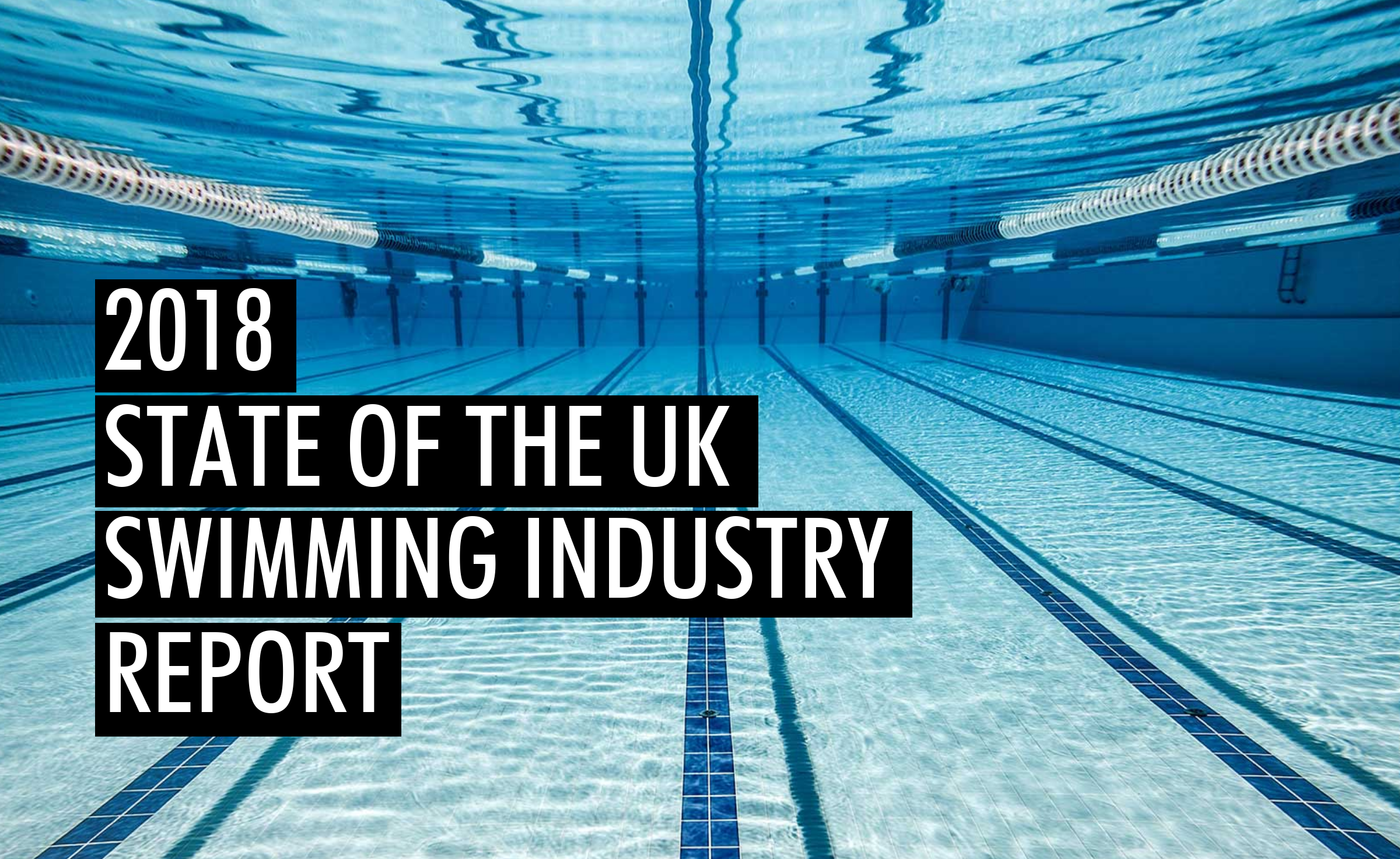 2018 Swim Report Website Image.png