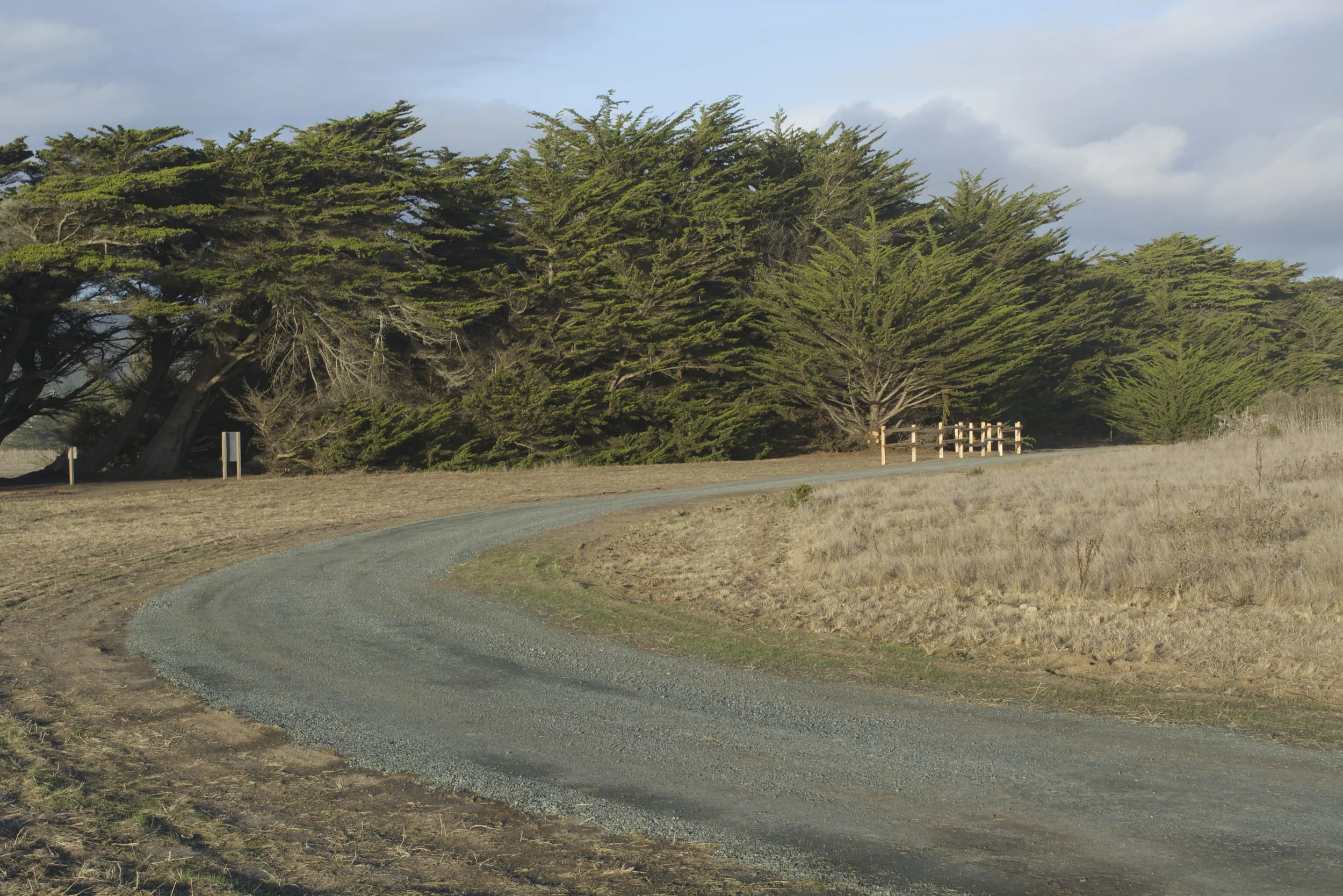 DSC_0079.jpg