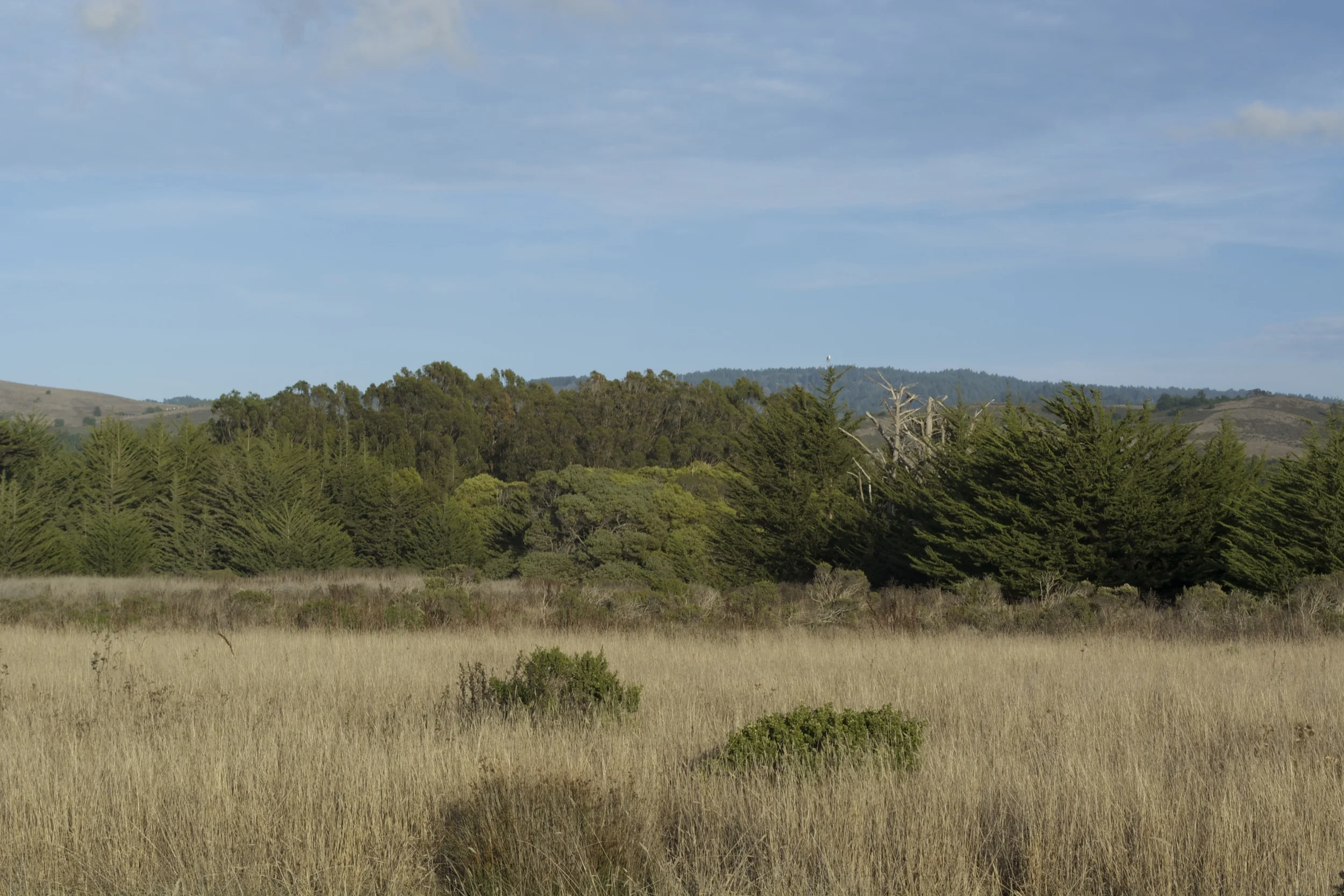 DSC_0036.jpg