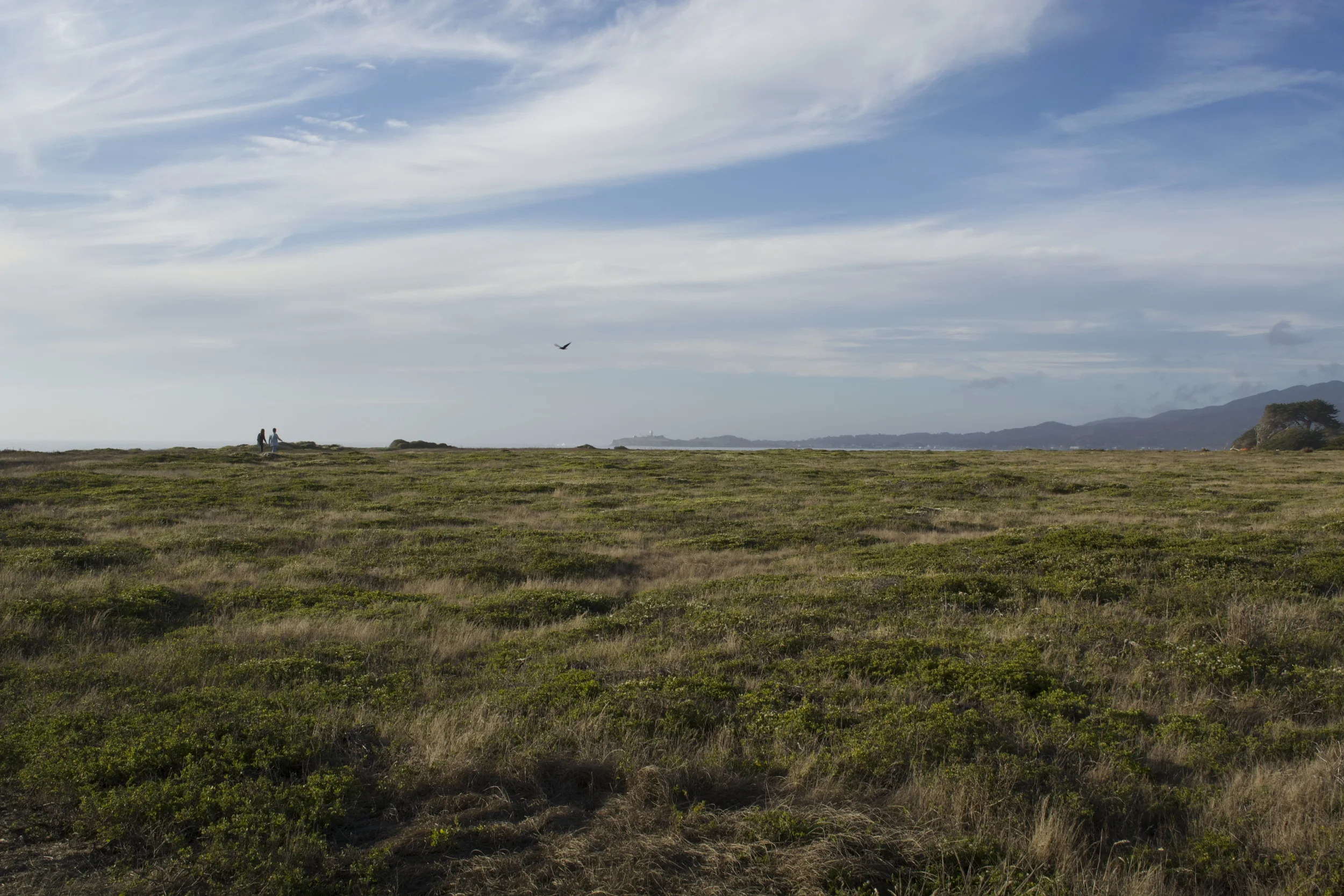 DSC_0017.jpg