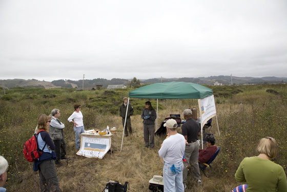 Francis Beach property habitat restoration photos by Mike Kahn / Green Stock Media