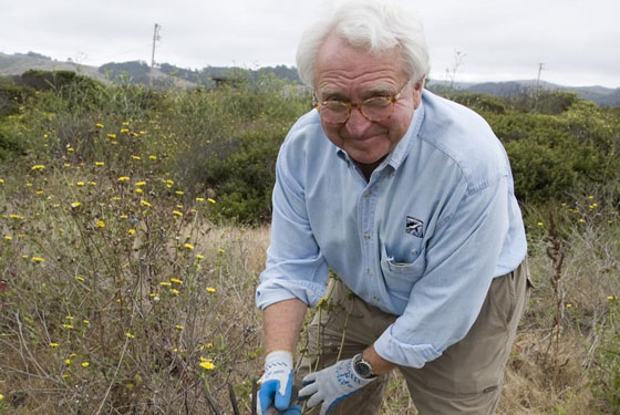 Francis Beach property habitat restoration photos by Mike Kahn / Green Stock Media