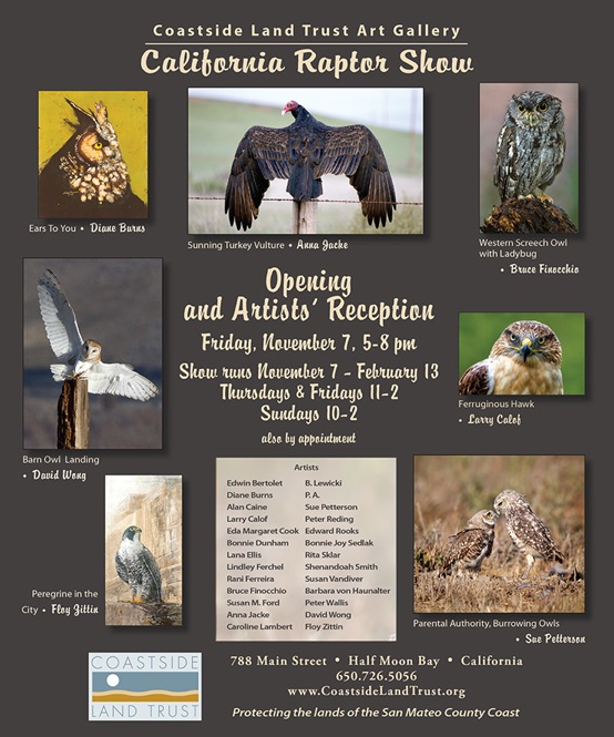 Flyer for the 2nd Annual California Raptor Art Show