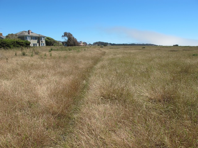 A view of the Railroad Right of Way.