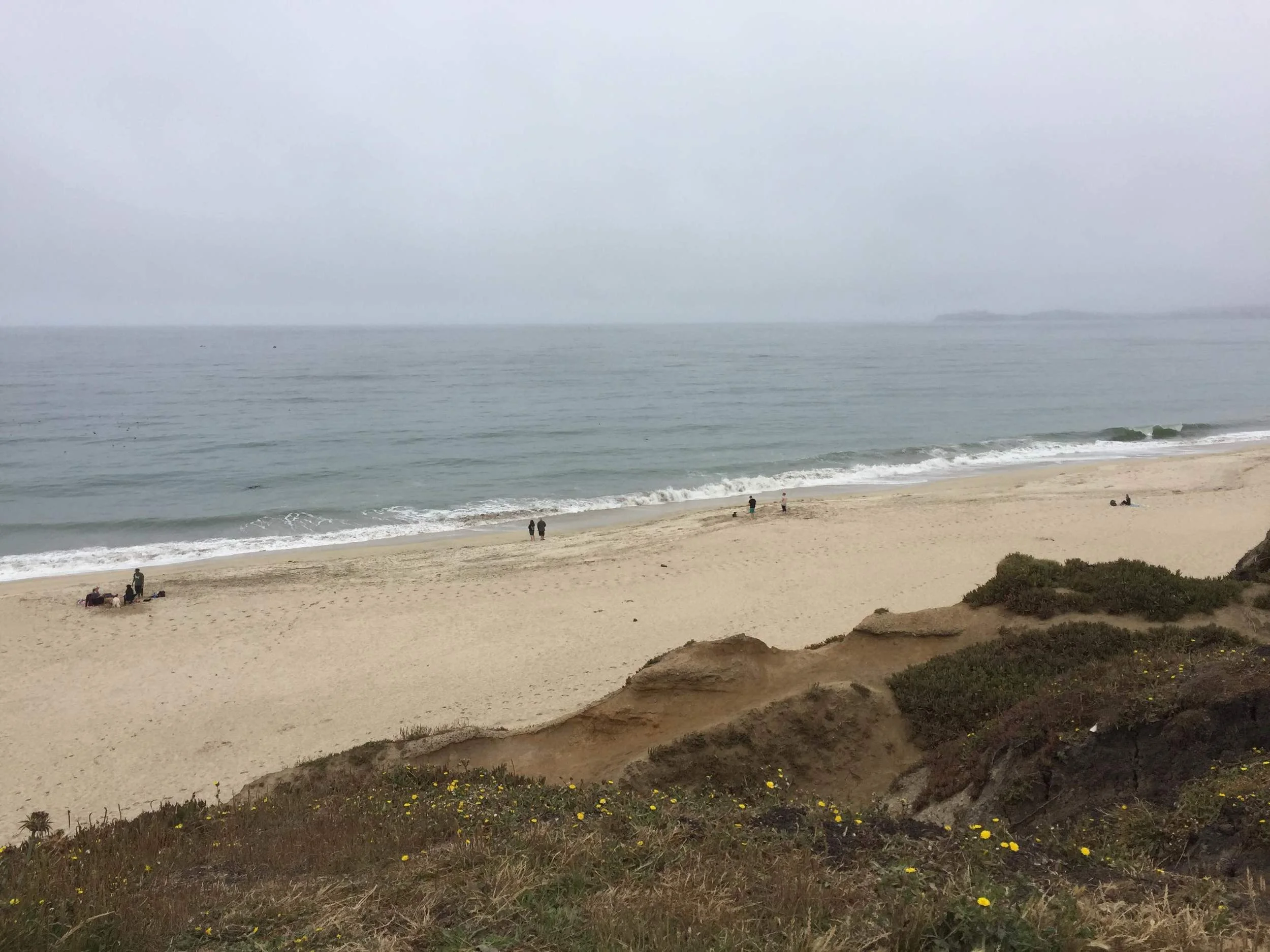 Coastal Cleanup Day - Poplar Beach