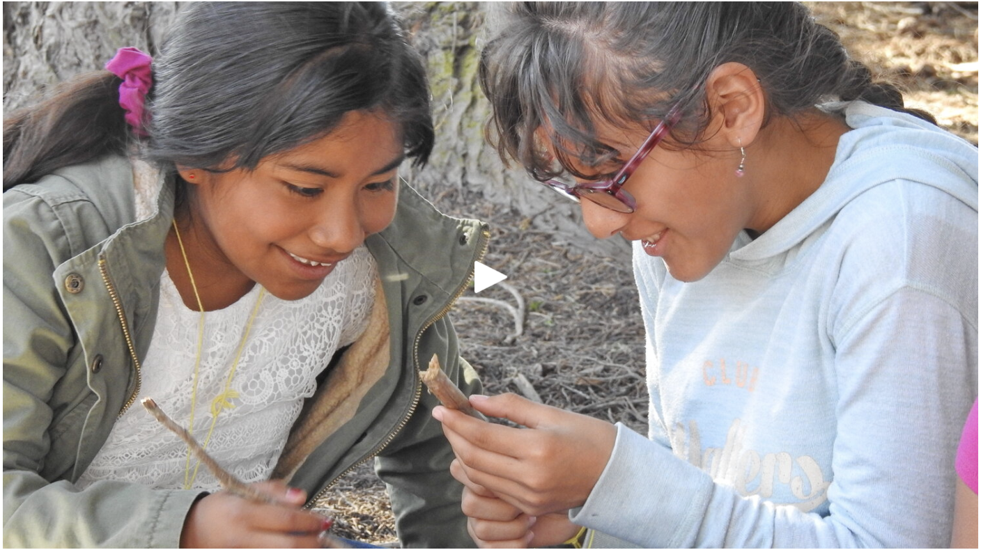 Junior Land Stewards Virtual Gallery