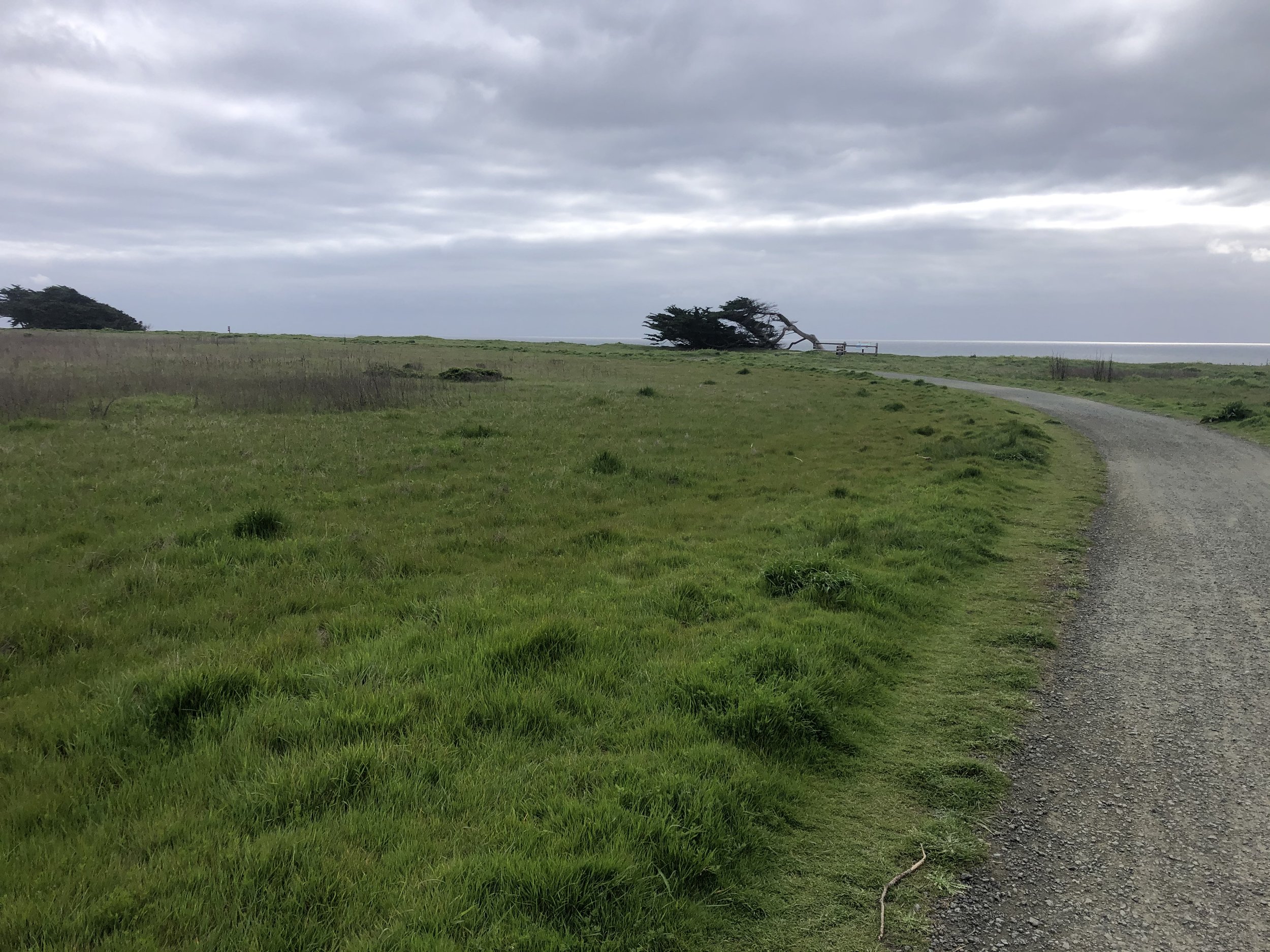 Wavecrest Trail Extension — Coastside Land Trust