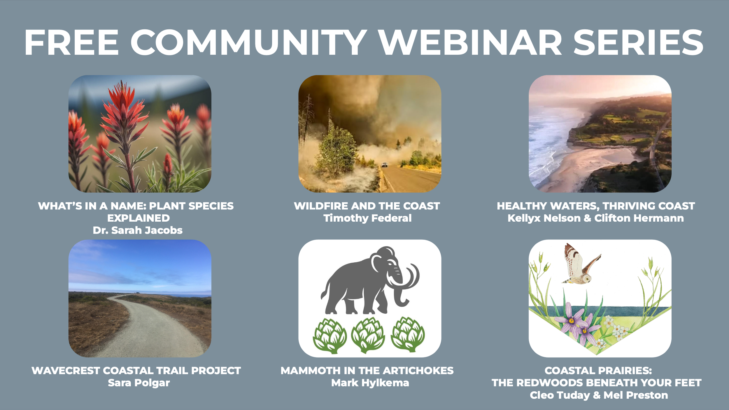 Screenshot 2026-03-12 at 1.59.57 PM.png