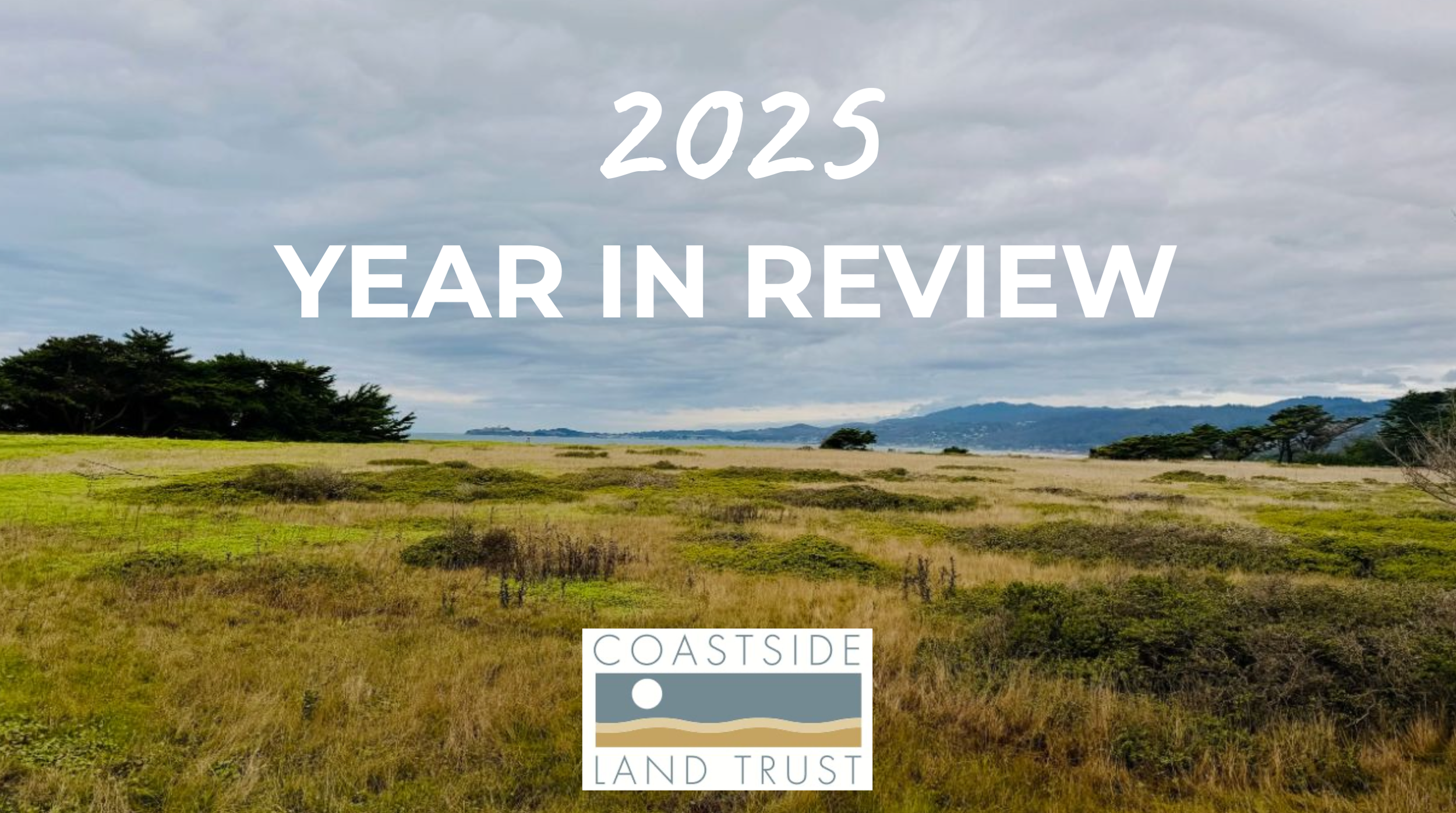 Screenshot 2026-03-12 at 1.15.04 PM.png