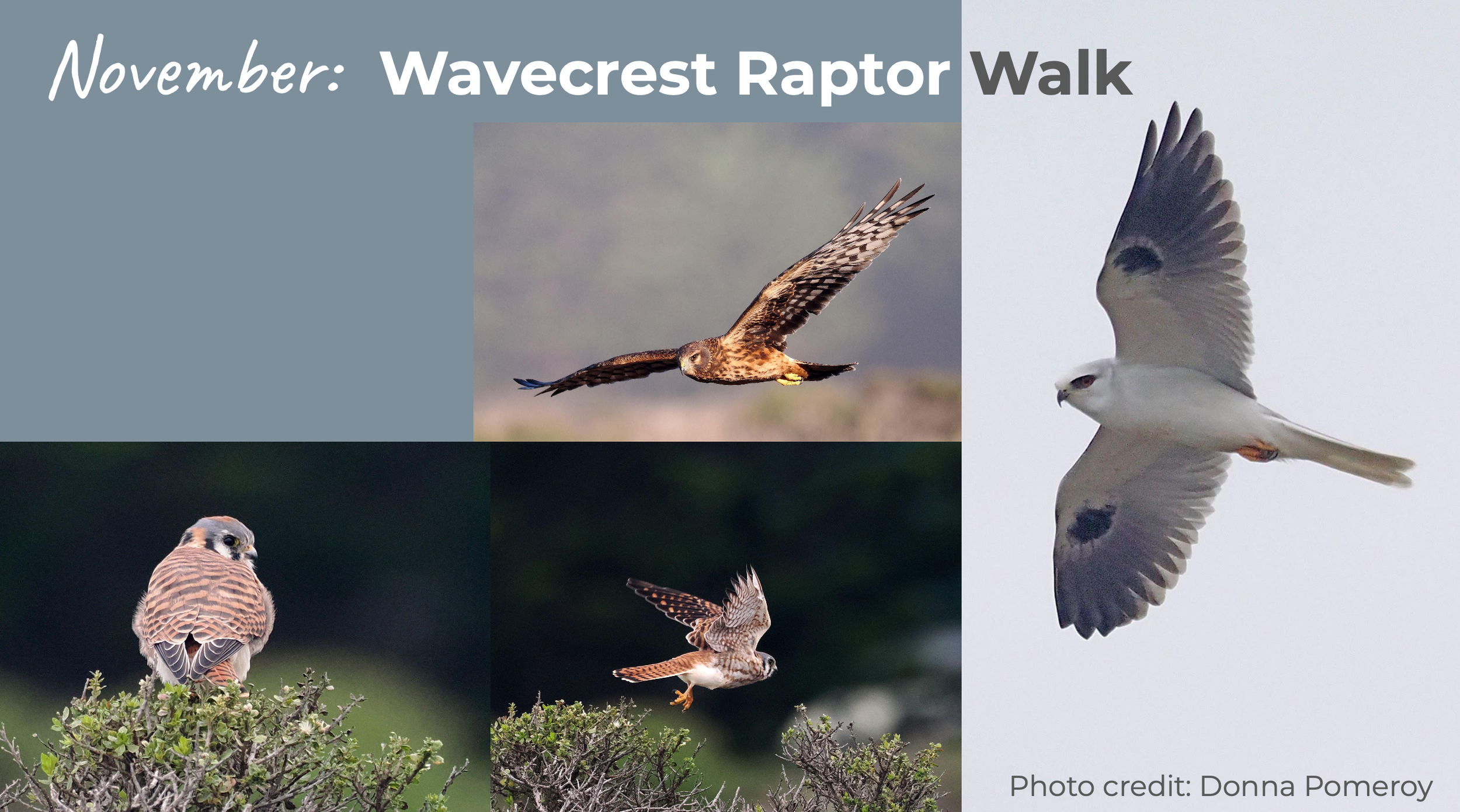 Screenshot 2026-03-12 at 2.02.17 PM.png