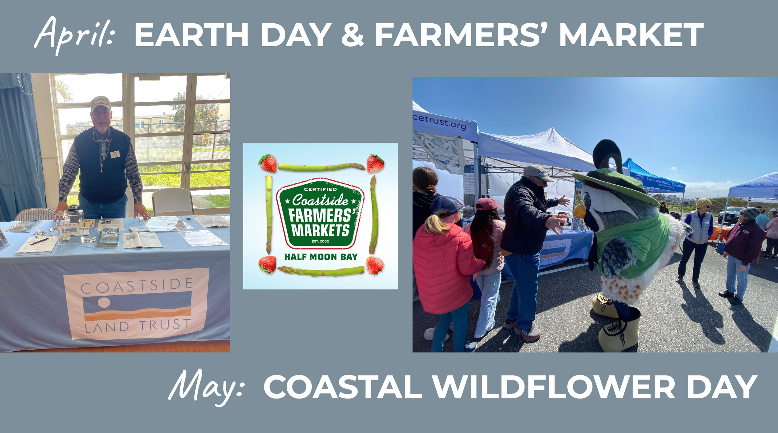 Screenshot 2026-03-12 at 2.00.52 PM.png