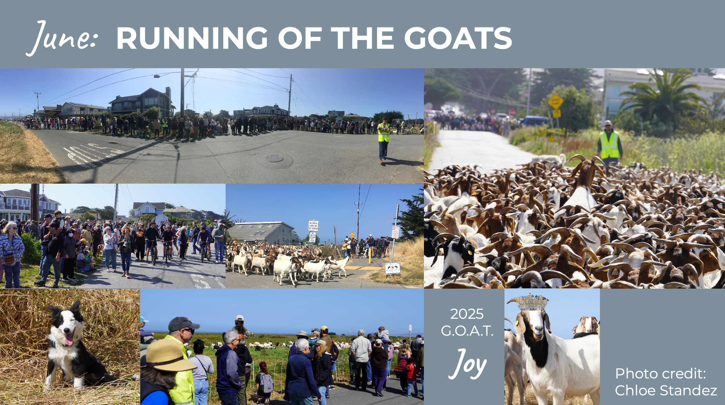 Screenshot 2026-03-12 at 2.01.36 PM.png