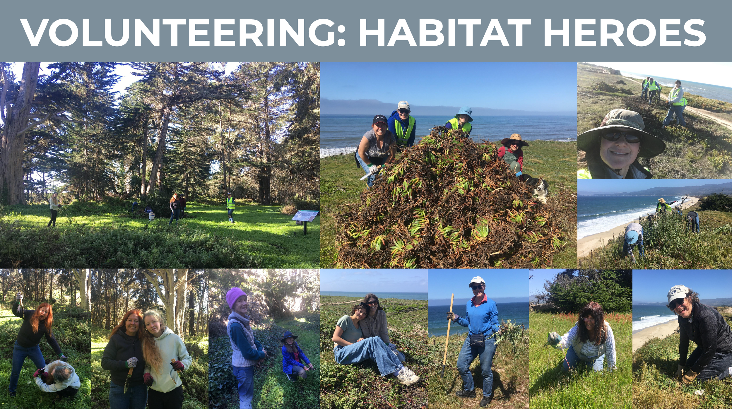 Screenshot 2026-03-12 at 2.02.54 PM.png