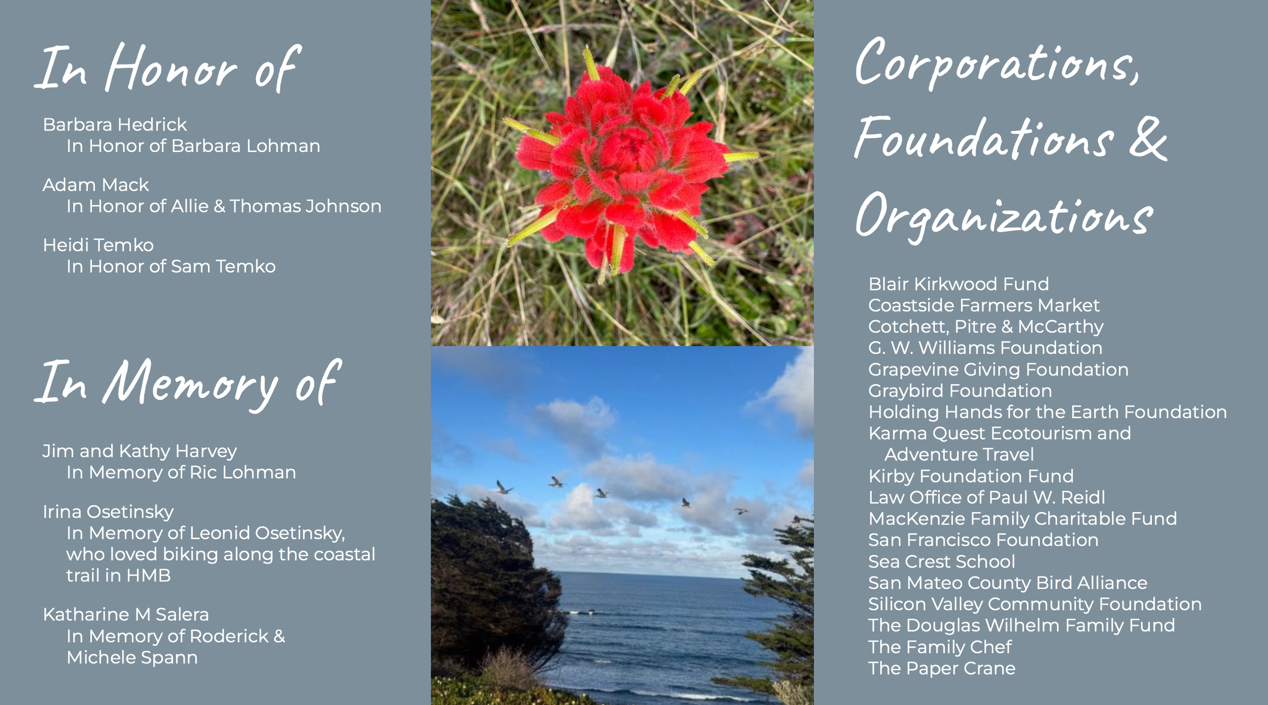 Screenshot 2026-03-12 at 2.04.29 PM.png