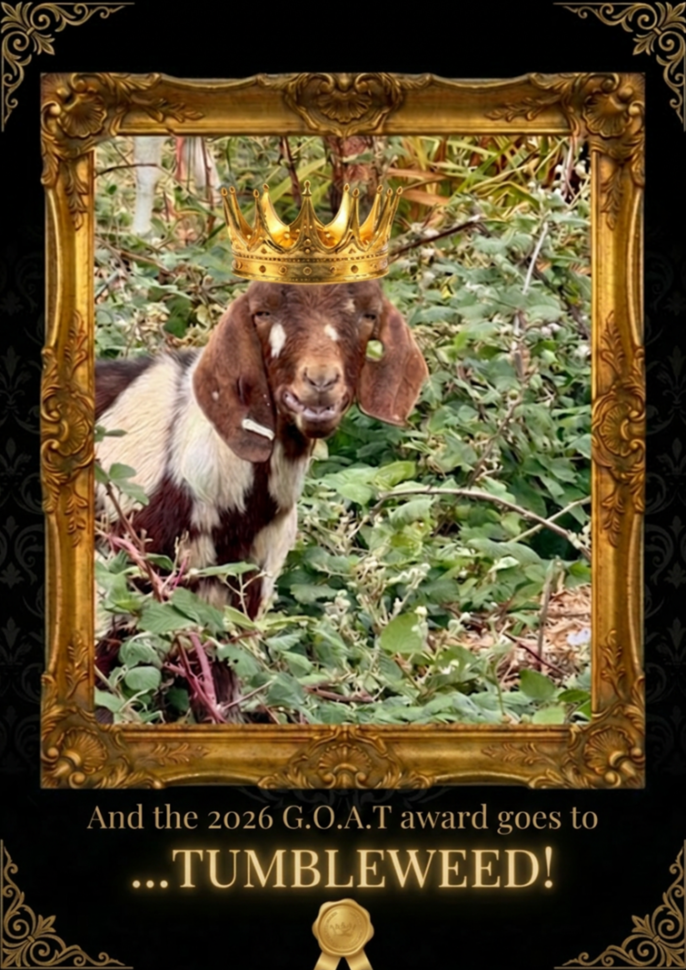 Goat Crown & Golden Frame Edit (1).png