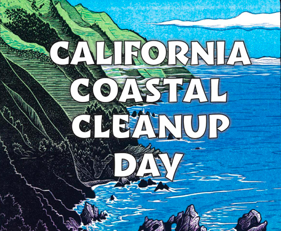 Coastal Cleanup Day at the Bay