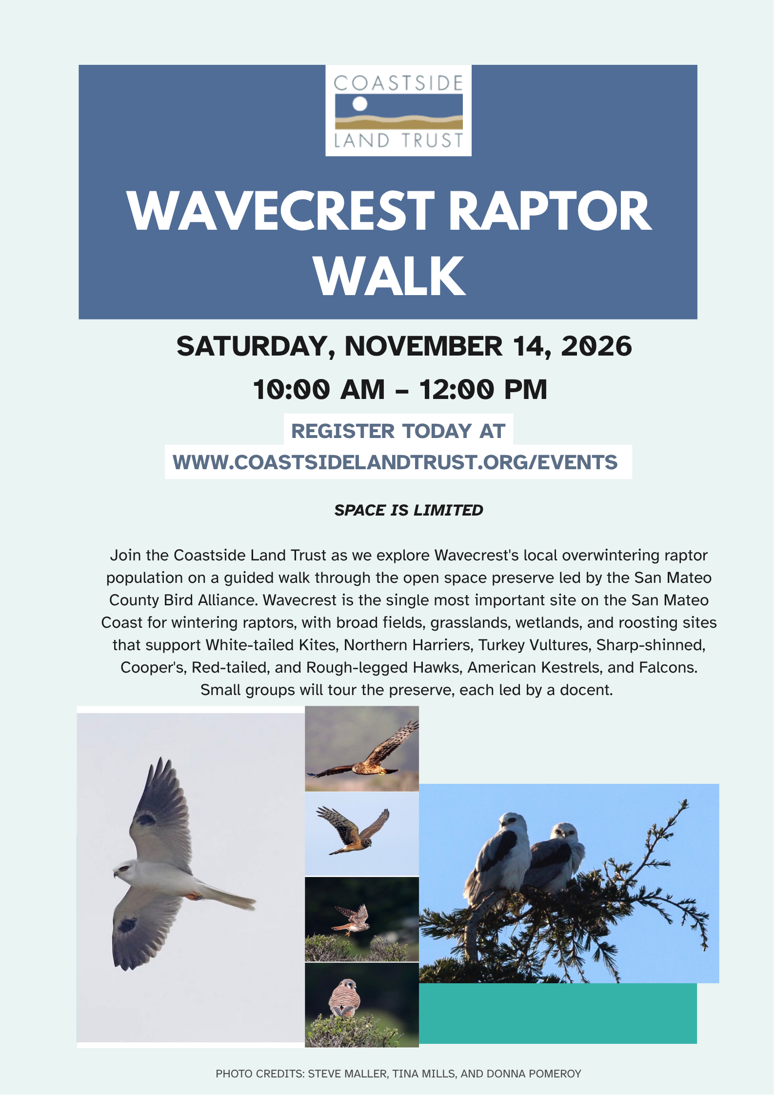 Wavecrest Raptor Walk Poster.png