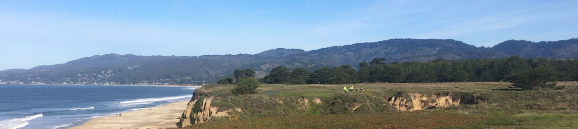 Screenshot 2026-01-13 at 2.06.19 PM.png