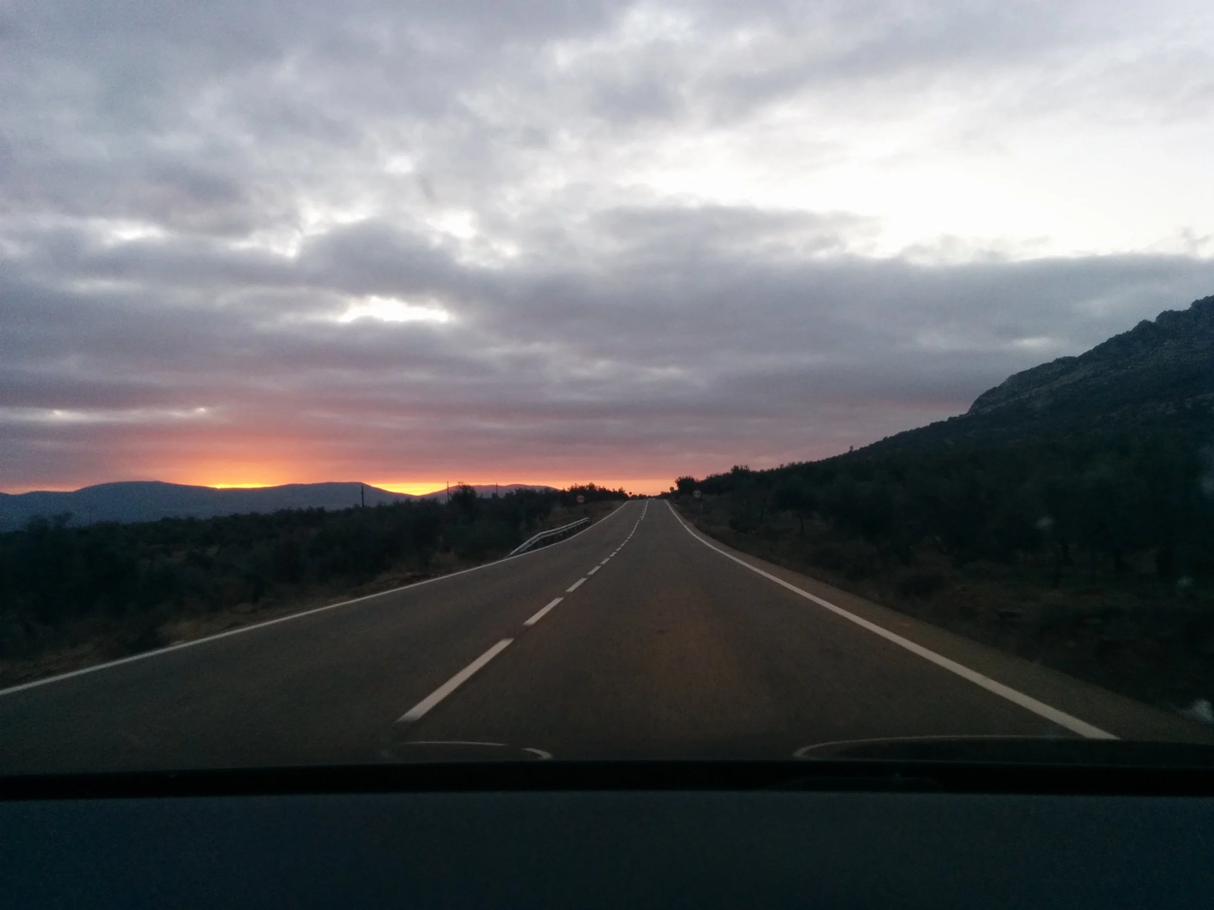 Tres proyectos para el año bisiesto