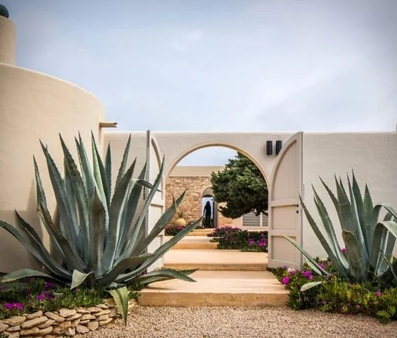 emmme studio blog paisajismo hotel rural lanzarote.jpg