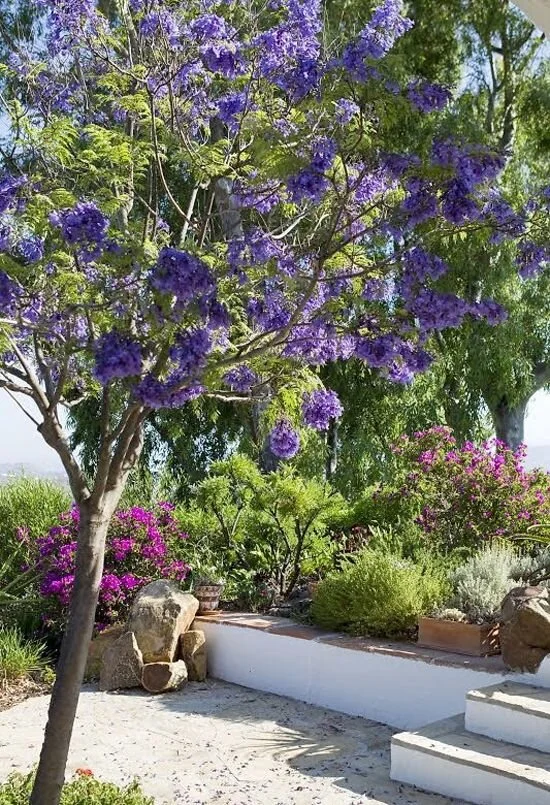 emmme studio blog paisajismo jardin cortijo andaluz.jpg
