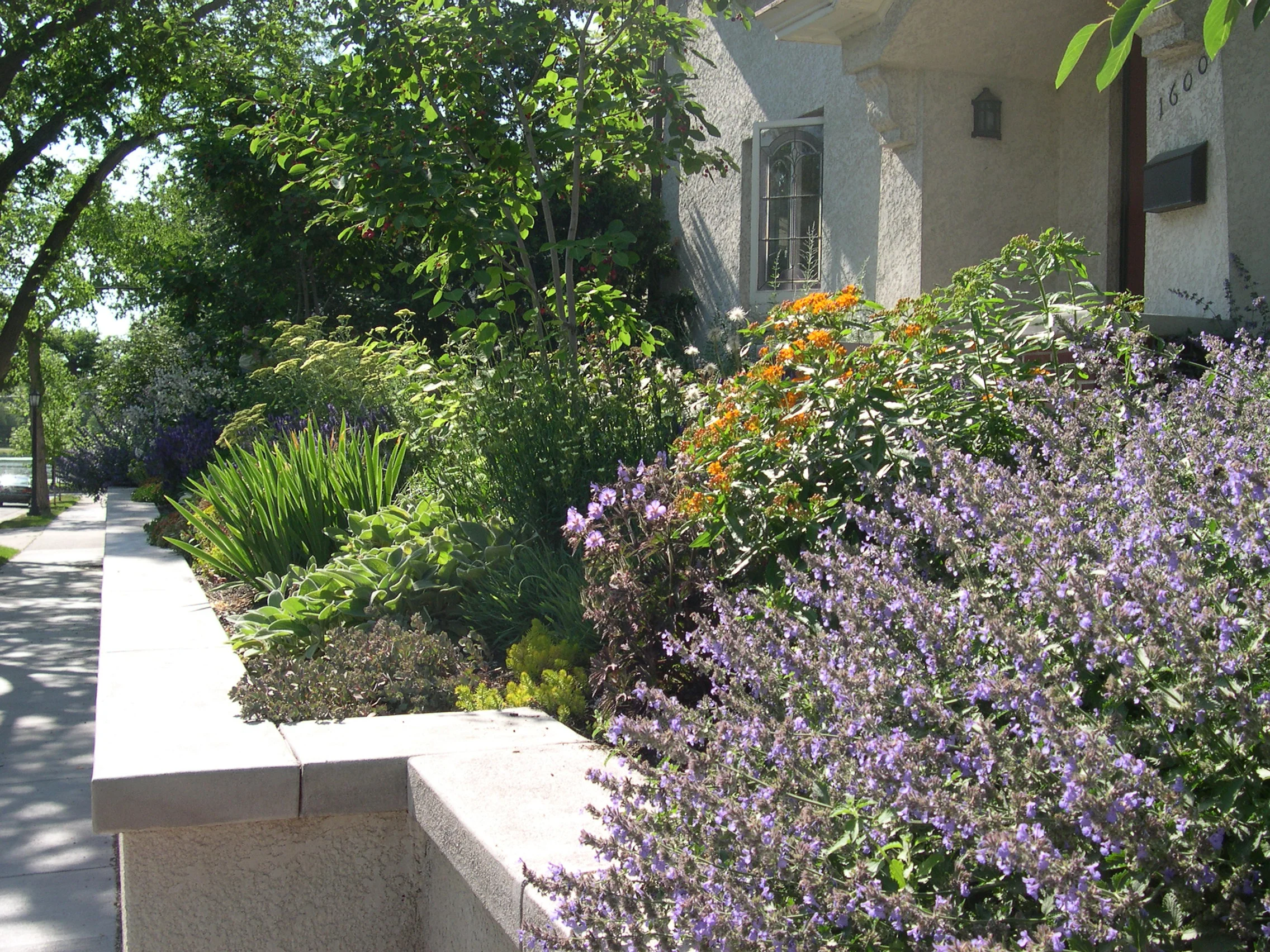 DSCN4440.JPG