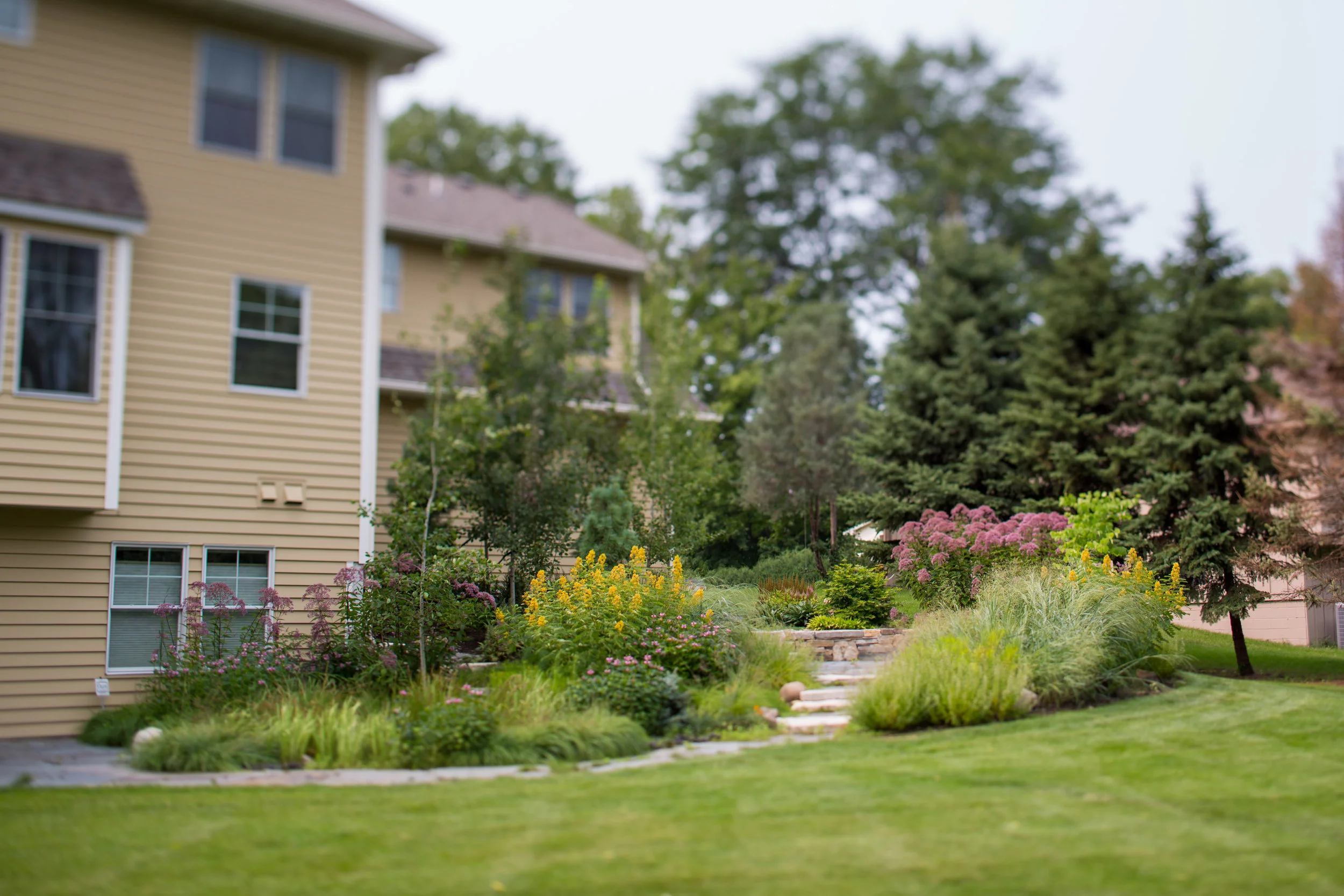 After: The house is now strongly anchored to its surroundings with tall trees and perennials.