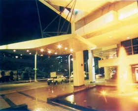 los delfines 3.jpg