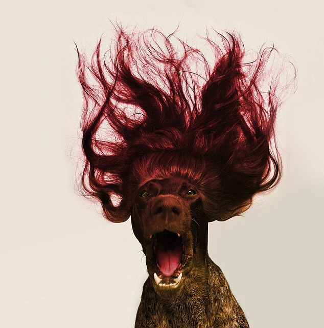 tumblr_n4yzq5zSD01qztdg6o7_1280.png