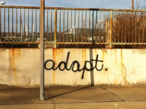 adapt.jpg