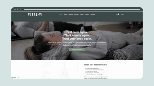 Vitae Vi website demo