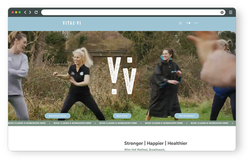 Vitae Vi website, 2025