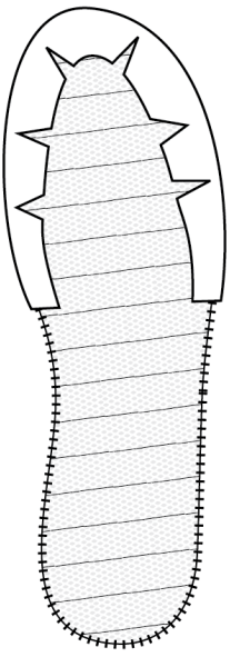 Toe_combination-Last.png