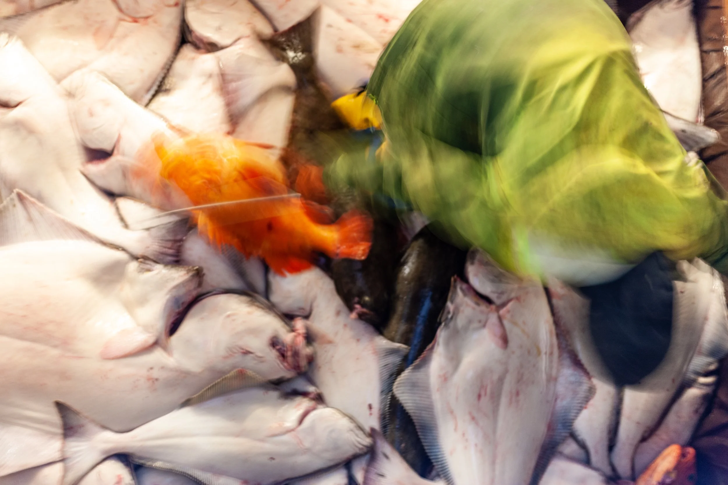 Kema Sue Fish Hold.jpg