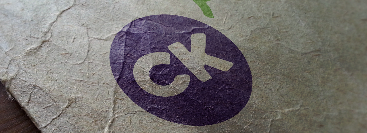 Concord Kids Banner 1536x560.png