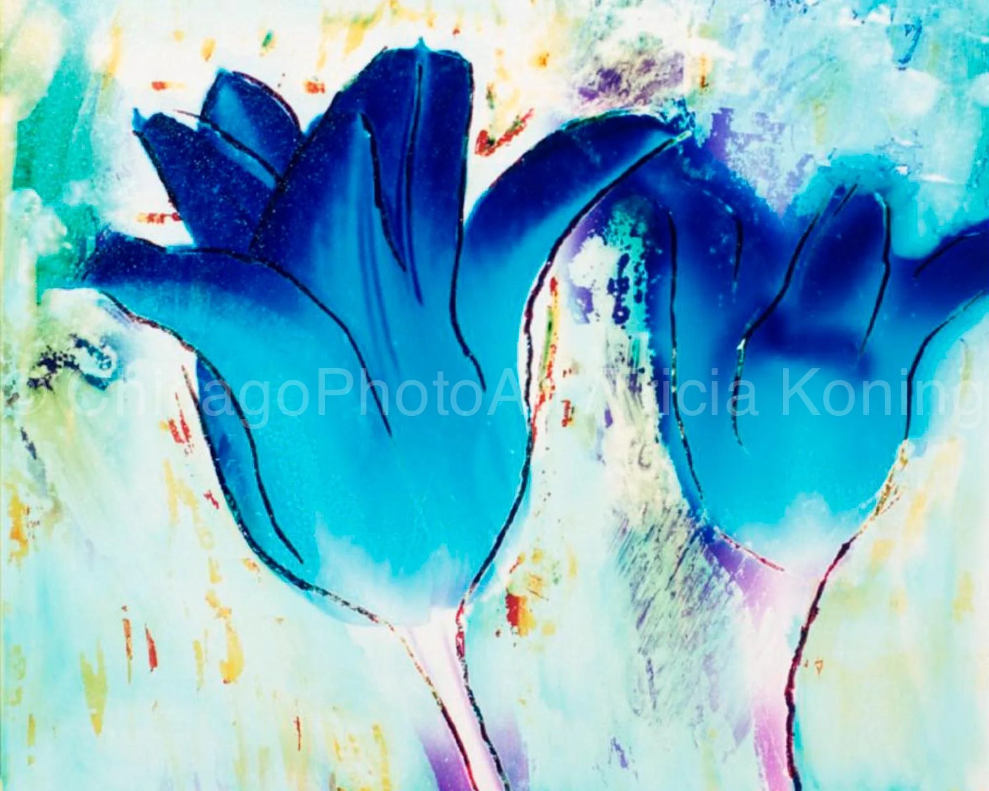 BlueTulips.jpg