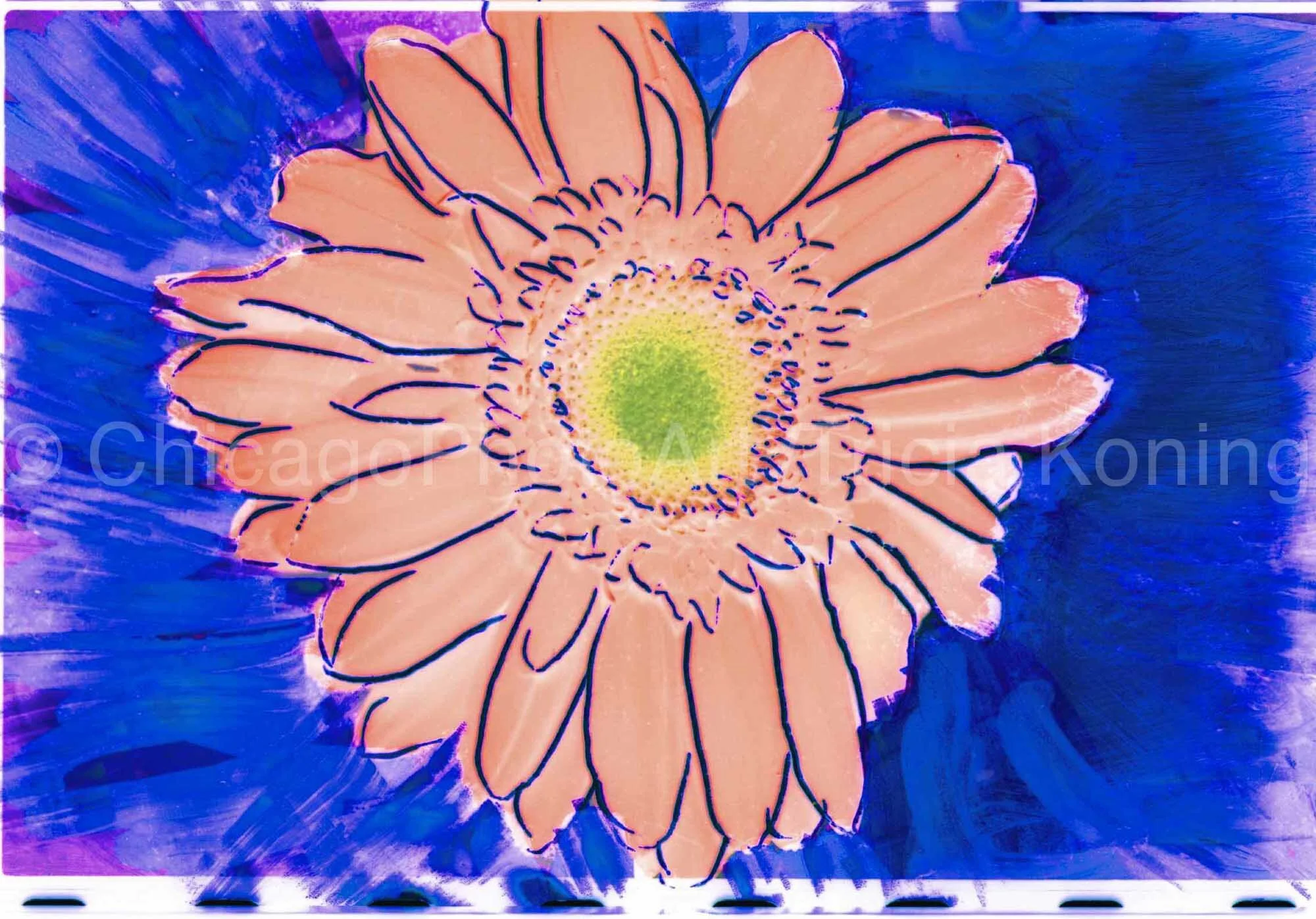 Peach 8x10 photo.JPG