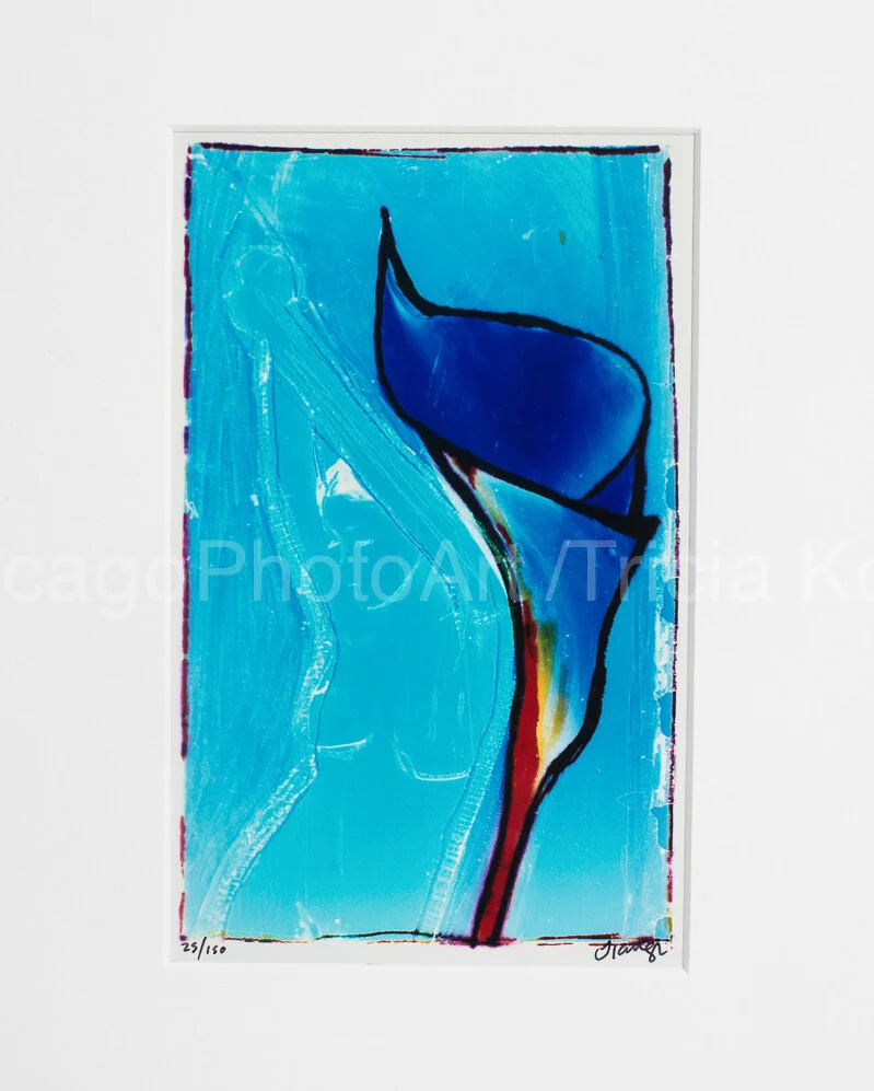 Eclipse 8x10m.jpg