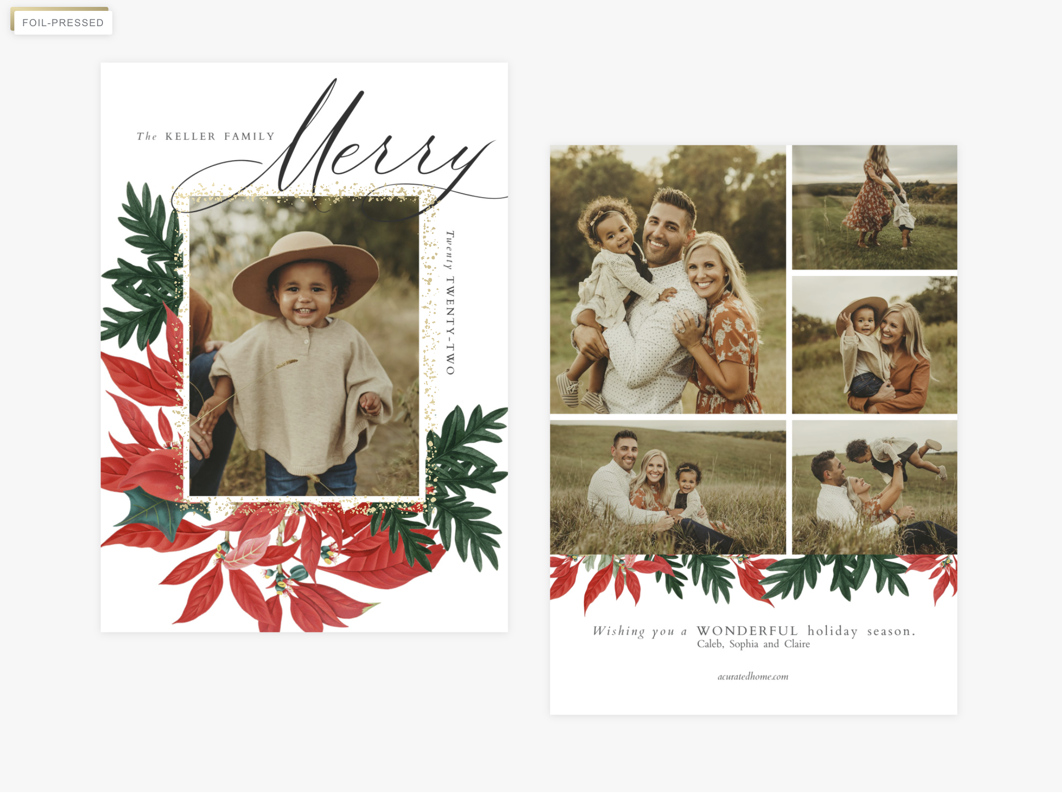 merry poinsettia.PNG