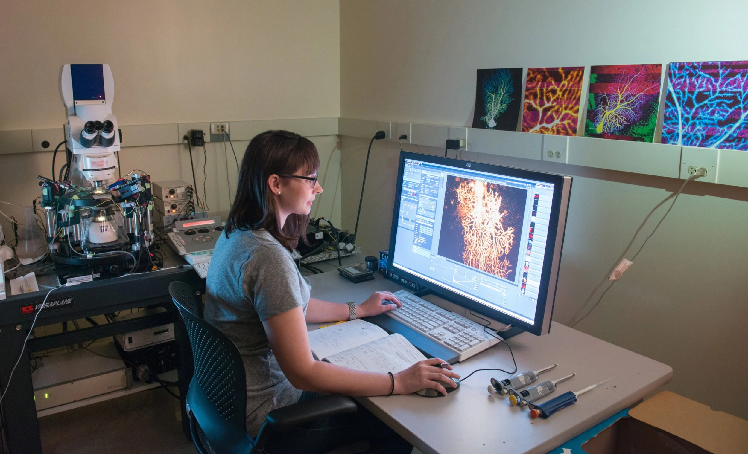 BSDGradLabs152.jpg