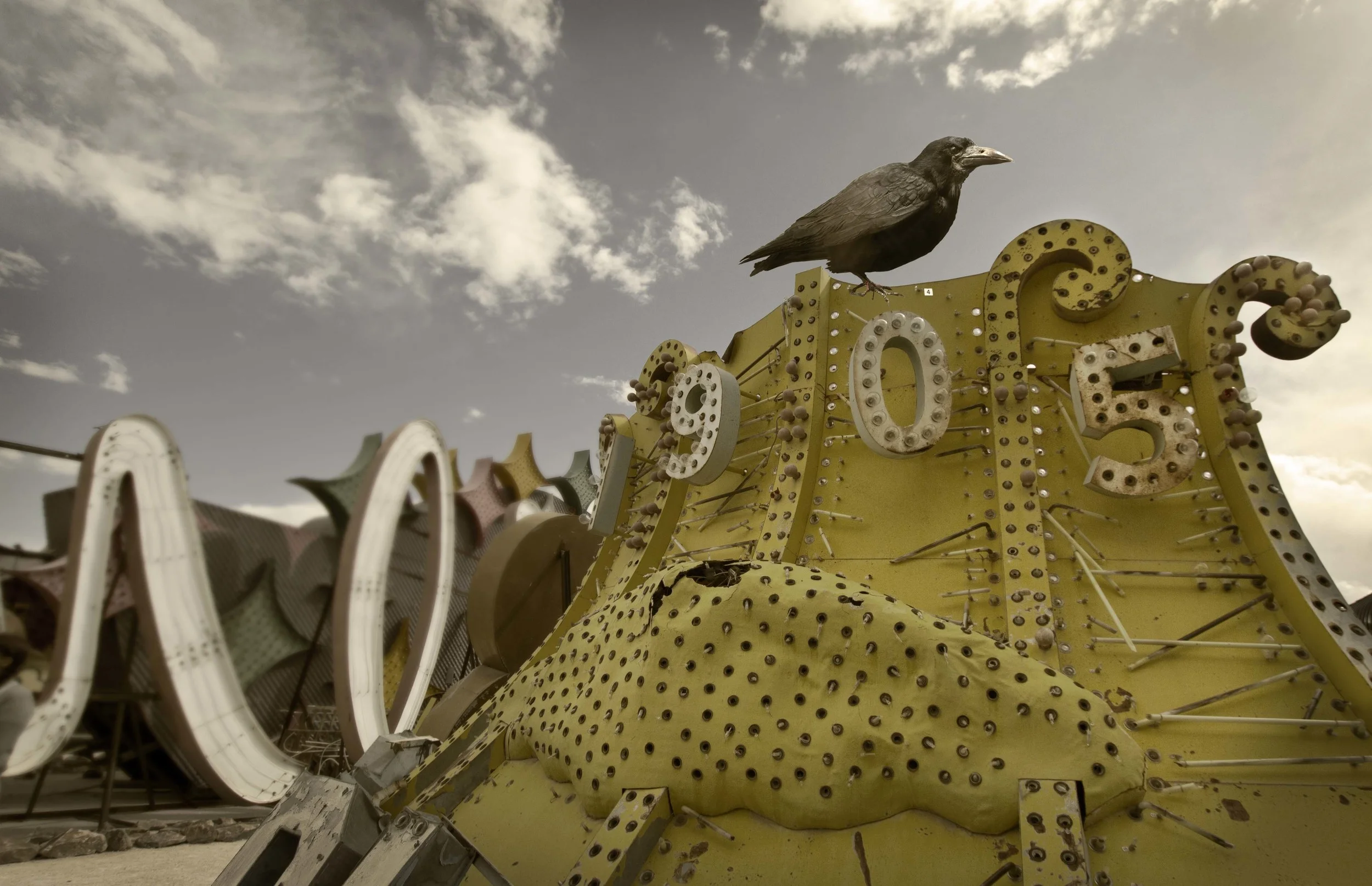 yellow structure bird.jpg