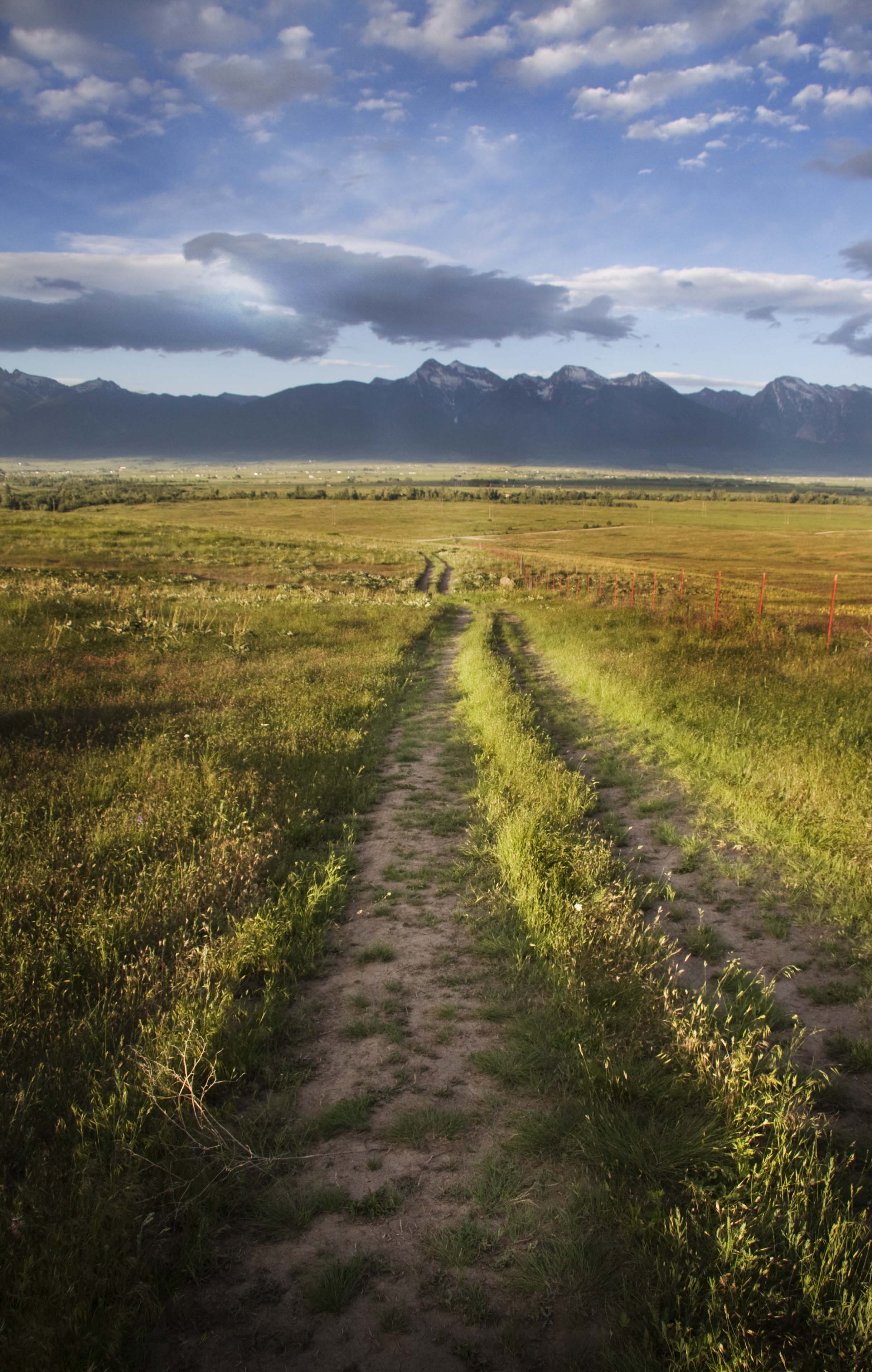 landscaperoad.jpg