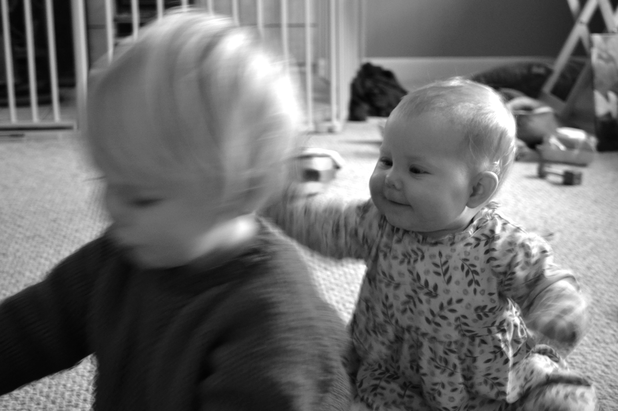 Trying to get his attention any which way, always.