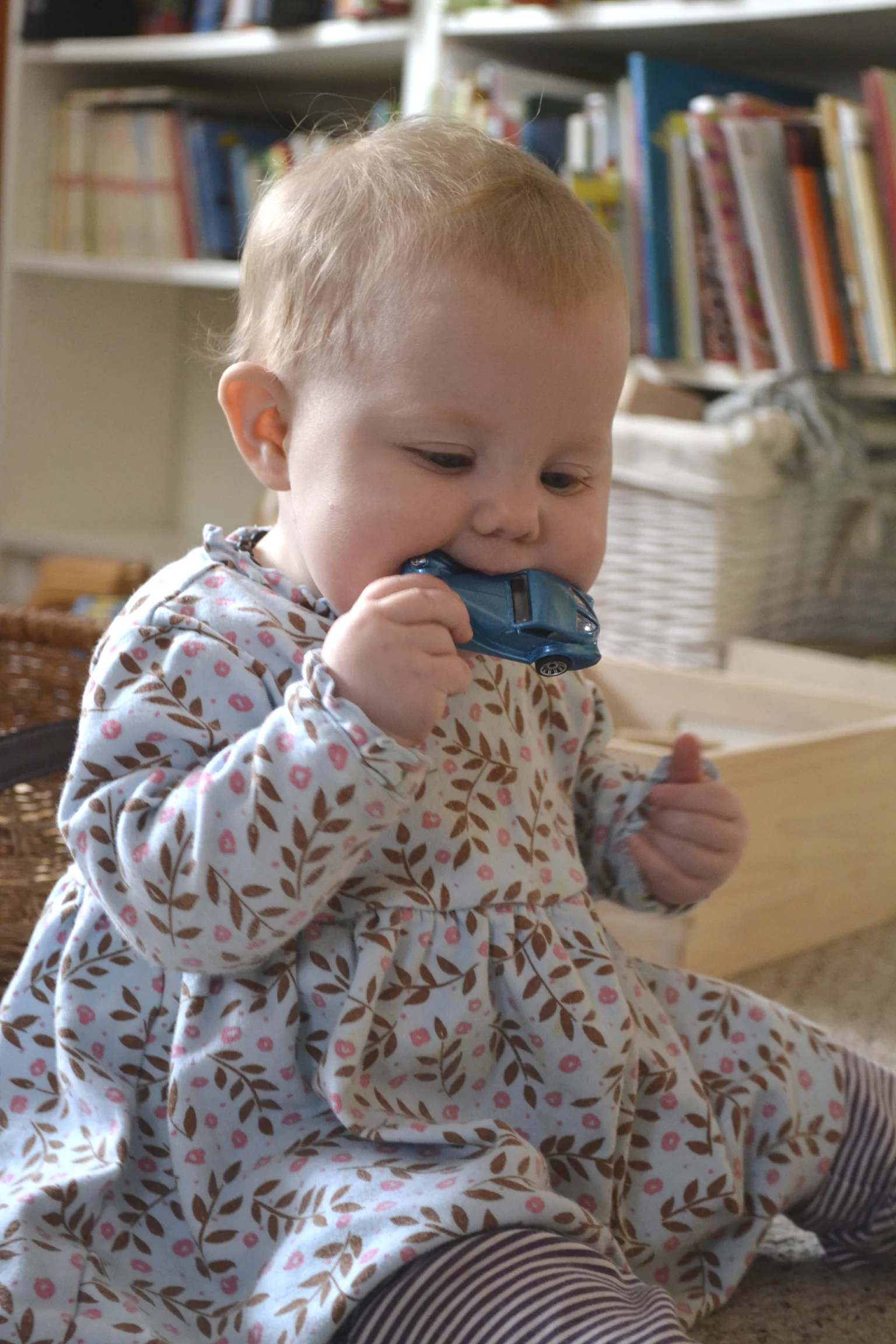 If all else fails, get his attention by eating his toys.&nbsp; Works every. time.