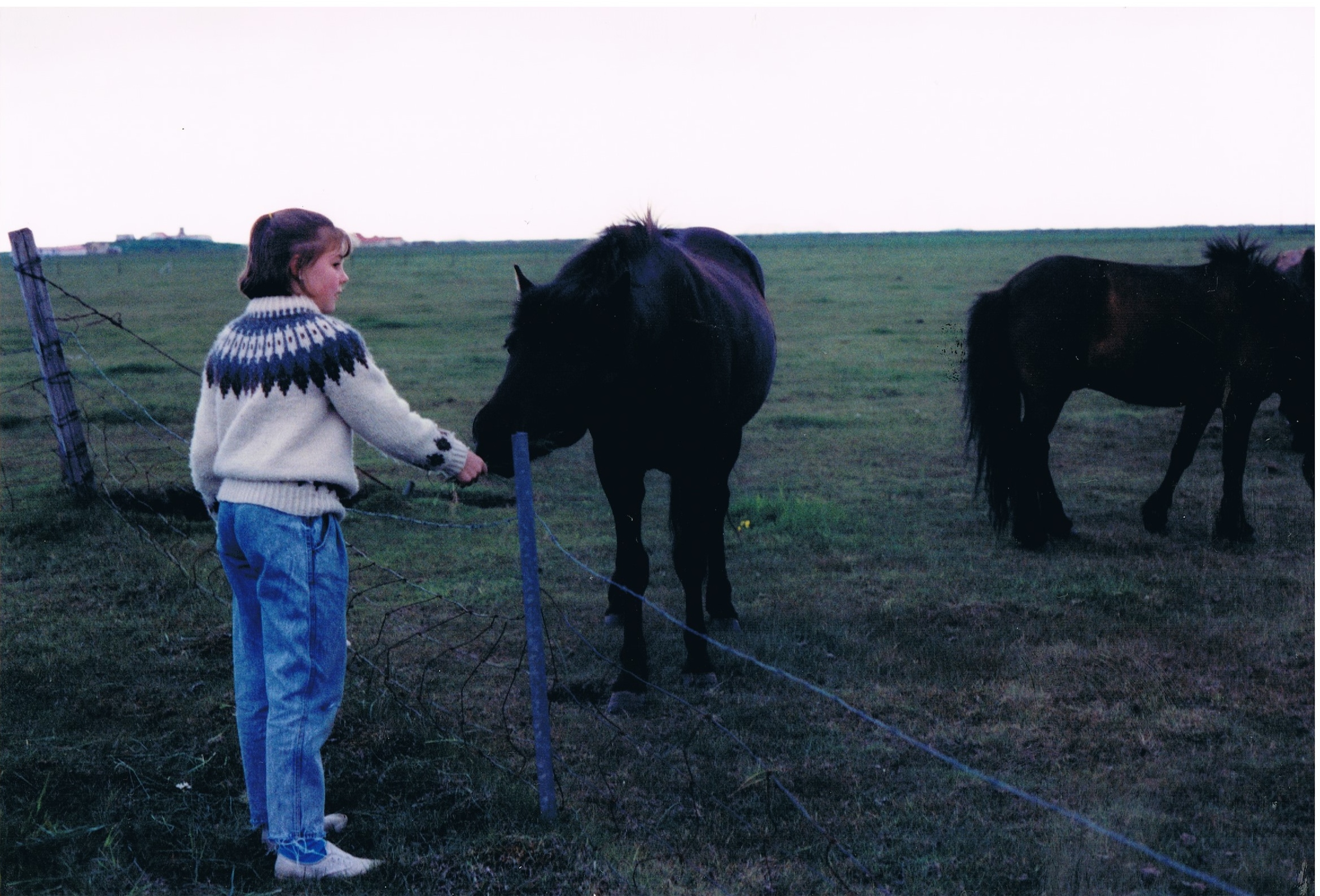 Hanging with the Icelandic horses.