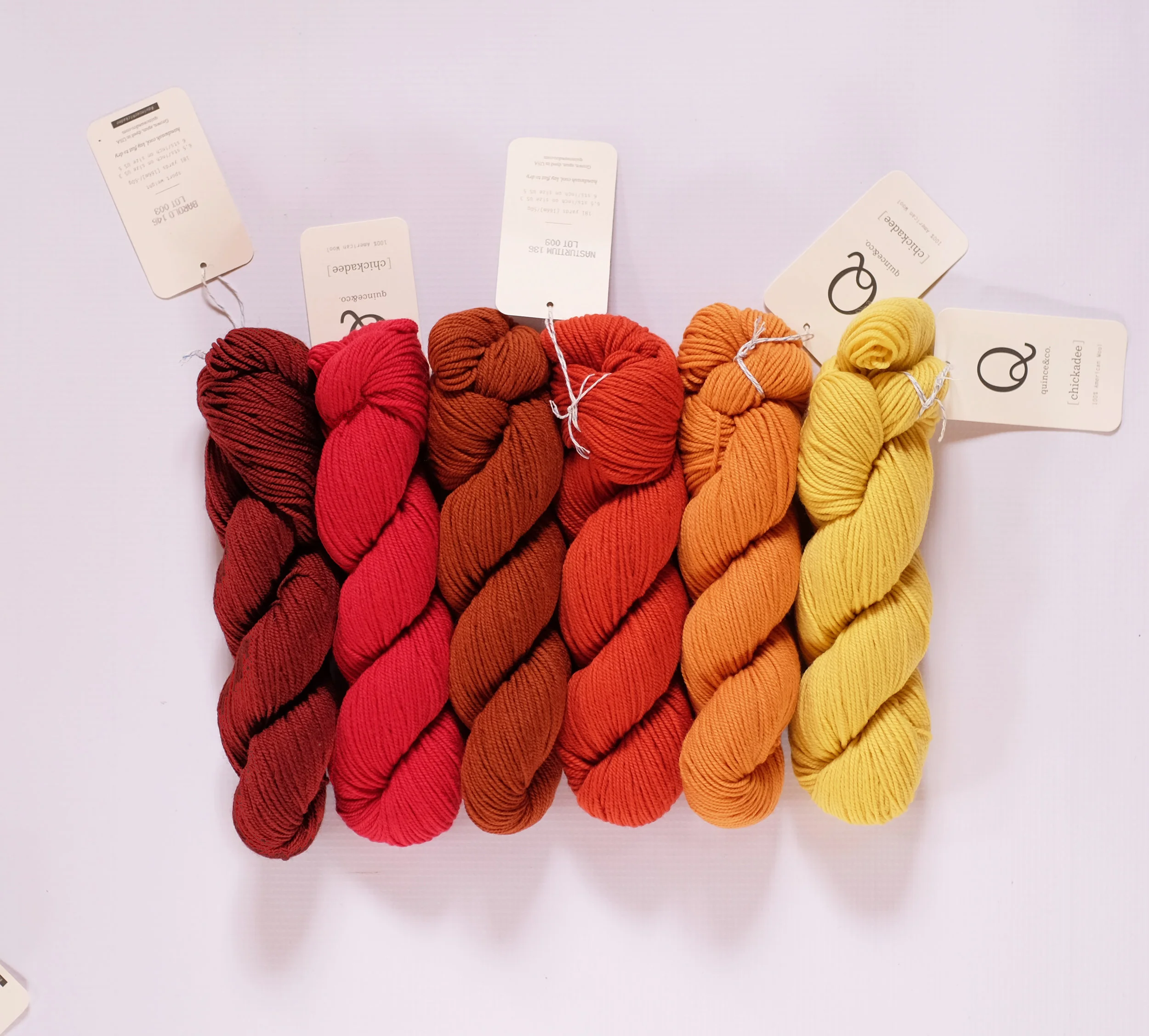 Warm Colors