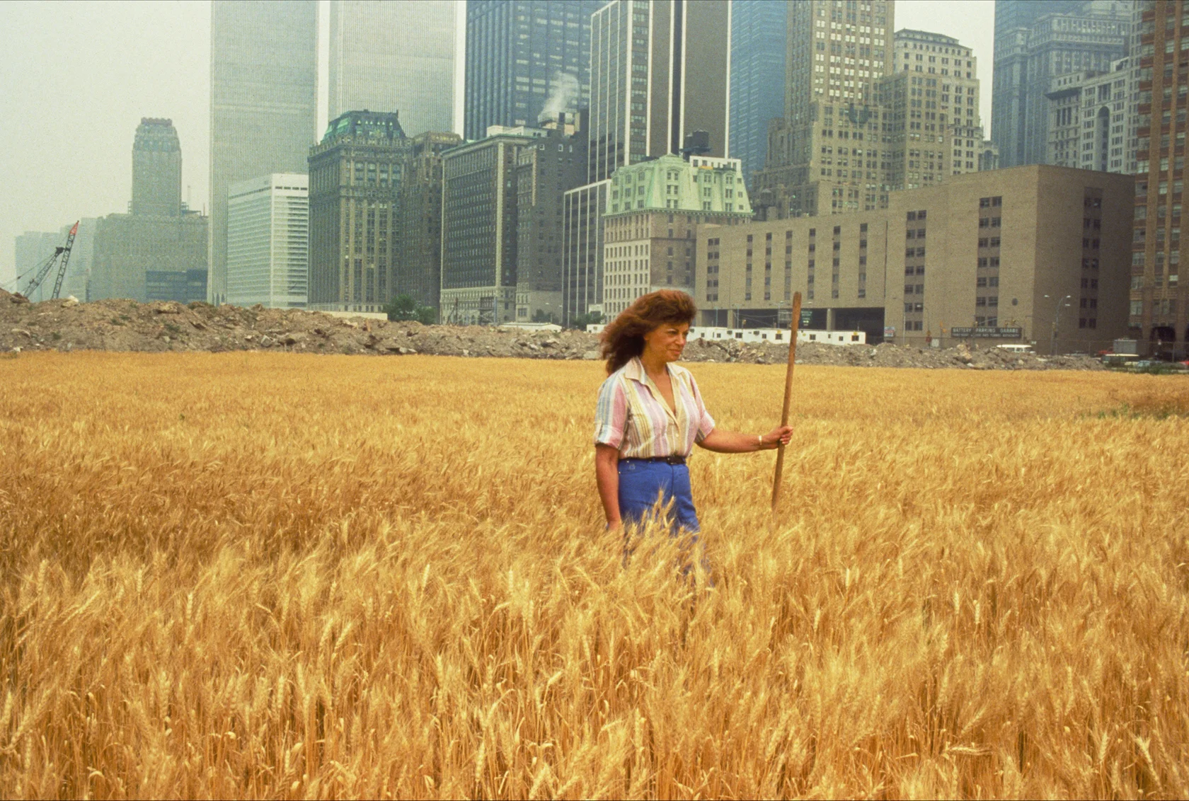 Wheatfield with Agnes Denes standing in the Wheatfield - A Confrontation: Battery Park Landfill (Downtown Manhattan), 1982, Agnes Denes