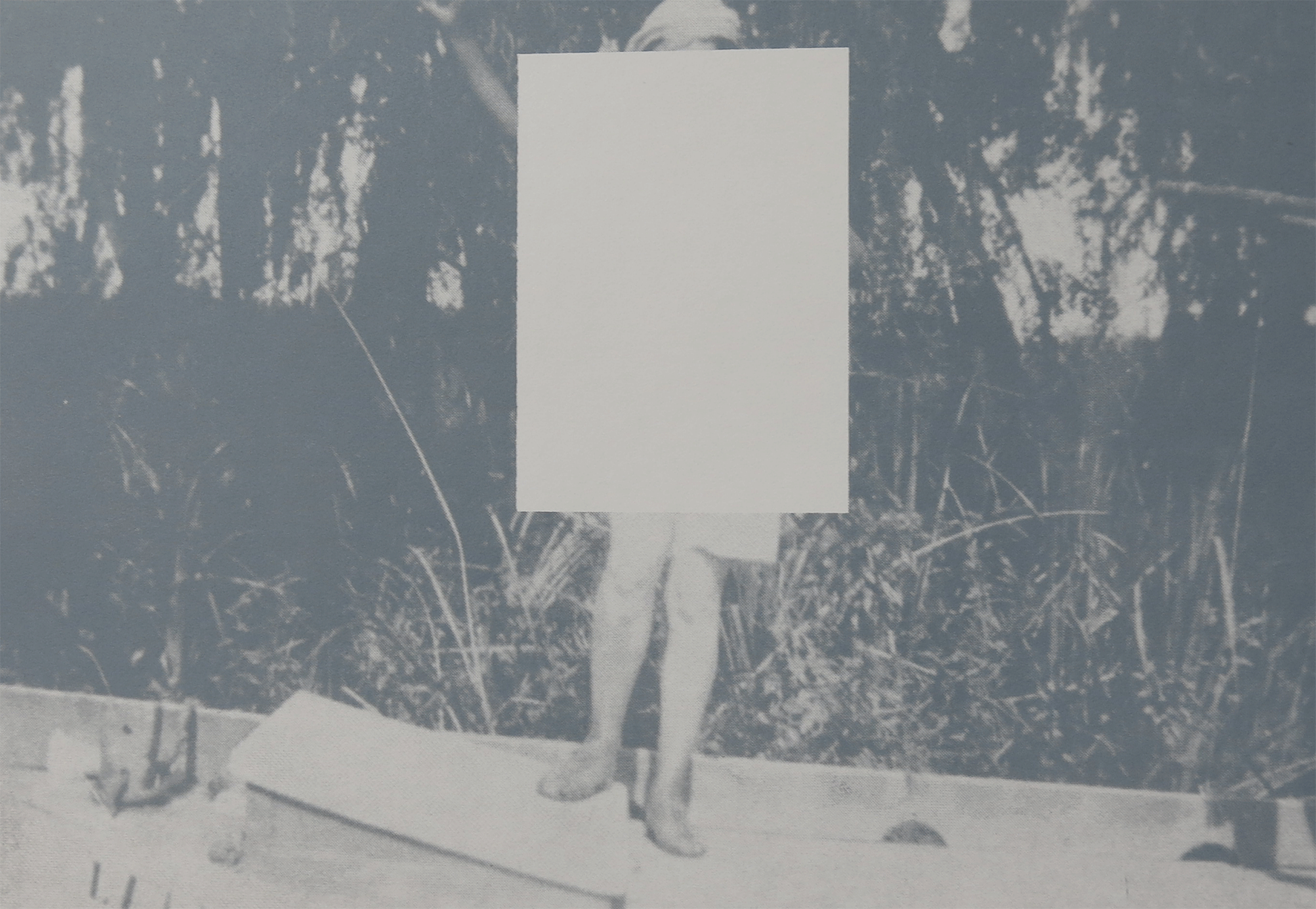   The Delta Project.  Lithography, 2014 