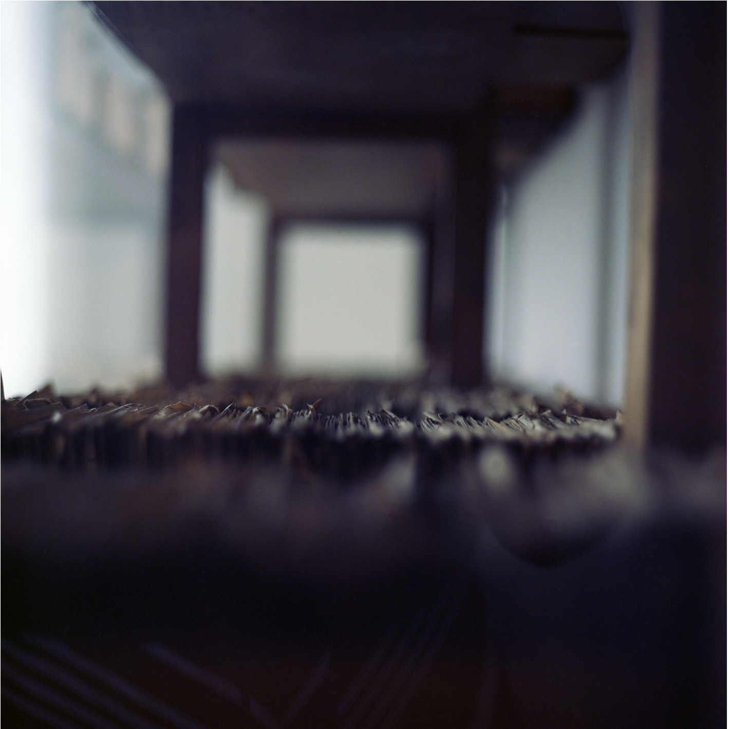 Remains_06.jpg