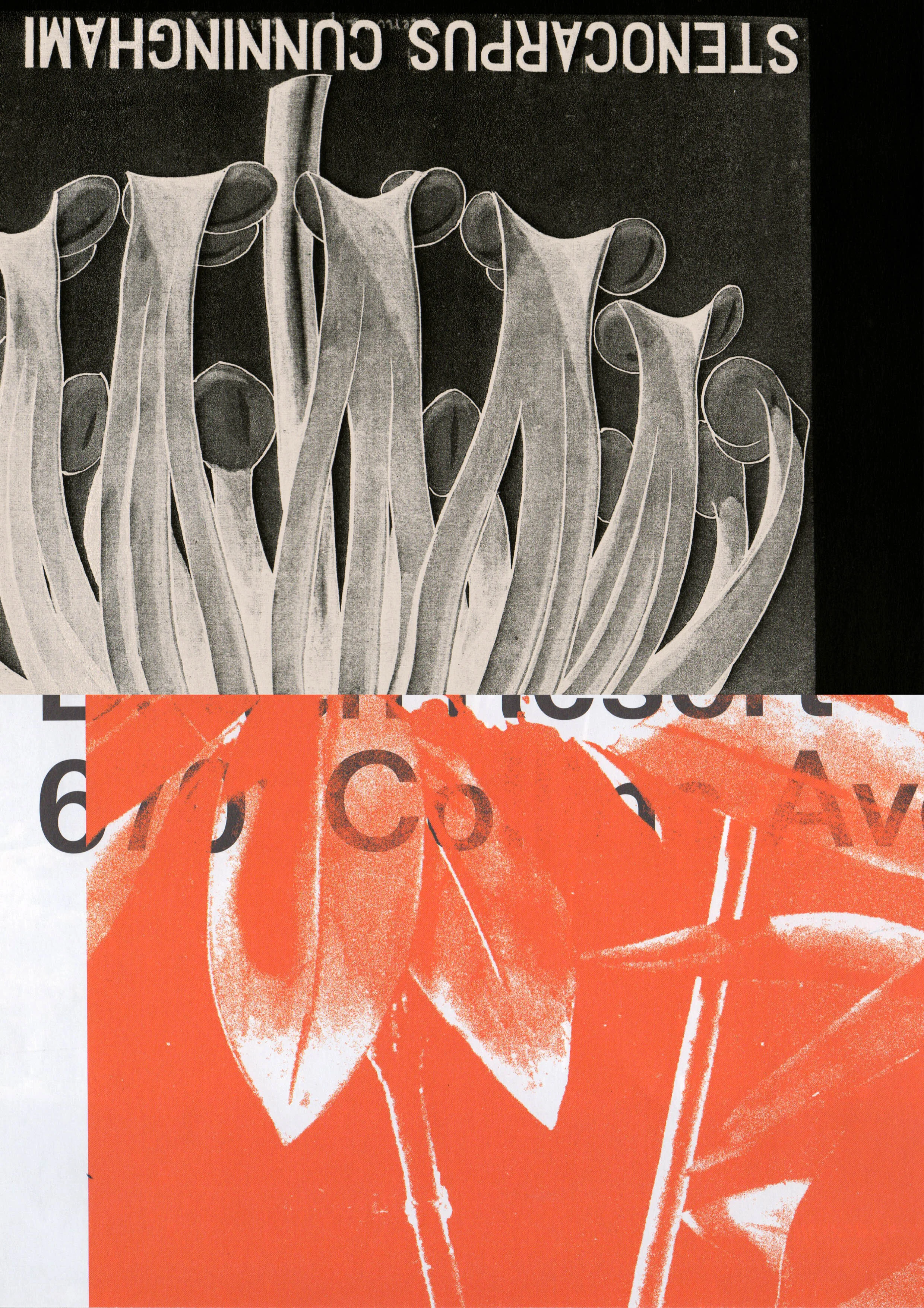2 - collage.jpg